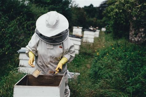beekeeppal  Introducing BeeKeepPal, a complete operations management app for novice as well as commercial beekeepers that lets you digitally record all your beekeeping information